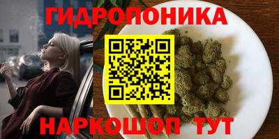jwh Краснодар