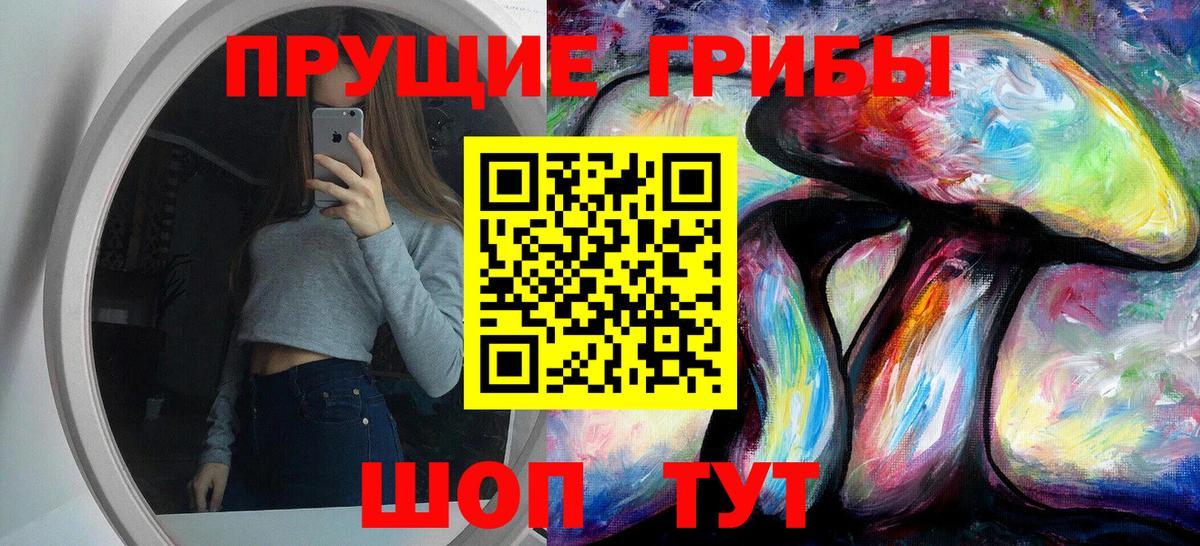 Галлюциногенные грибы Cubensis Ефремов